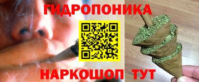 стаф Канаш