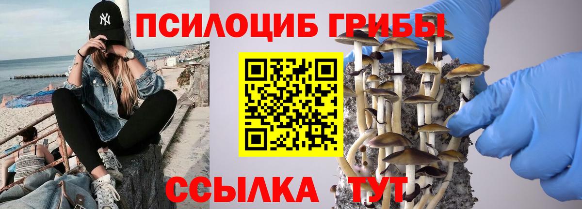 даркнет сайт  Галлюциногенные грибы ЛСД  Вход с VPN  Кизляр 